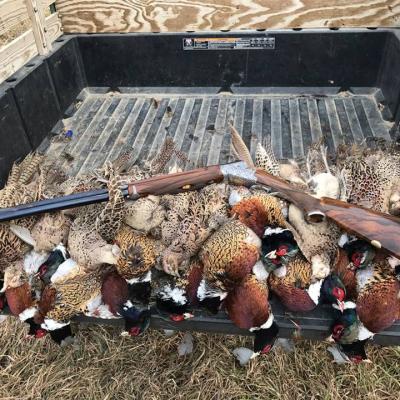 15589875 1211568588925428 1666593119998906294 N