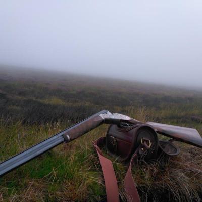 A Bosis Gun In A Moor Hunting Day